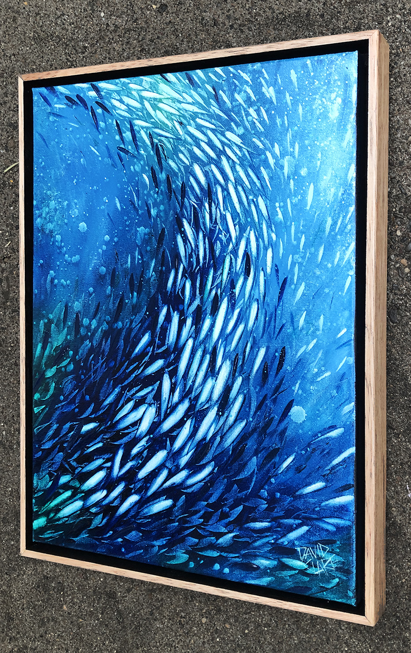 Fish School Mini 2 Rs Lr