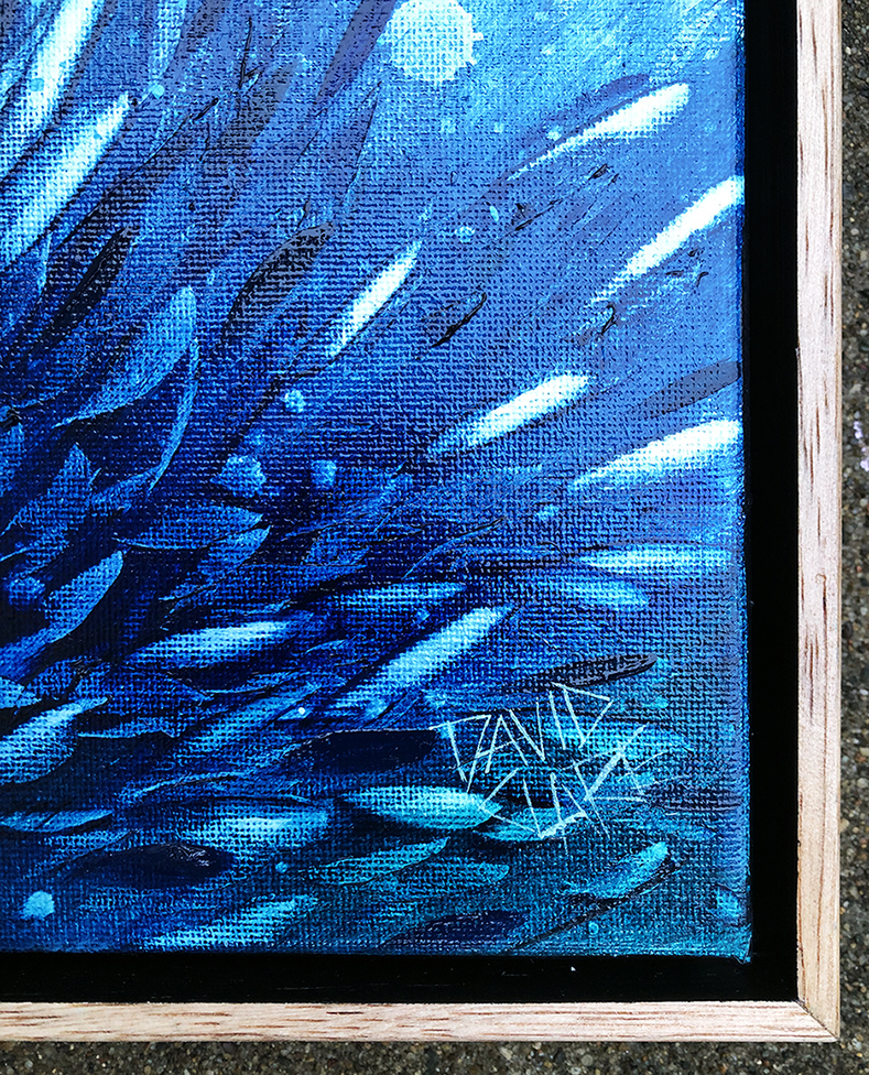 Fish School Mini 2 Sign Lr