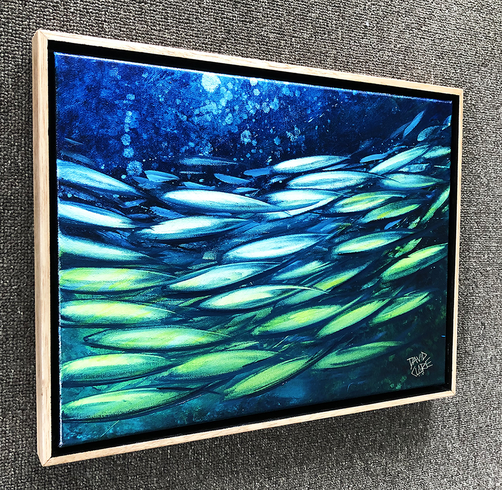 Fish School Mini 3 Ls Lr