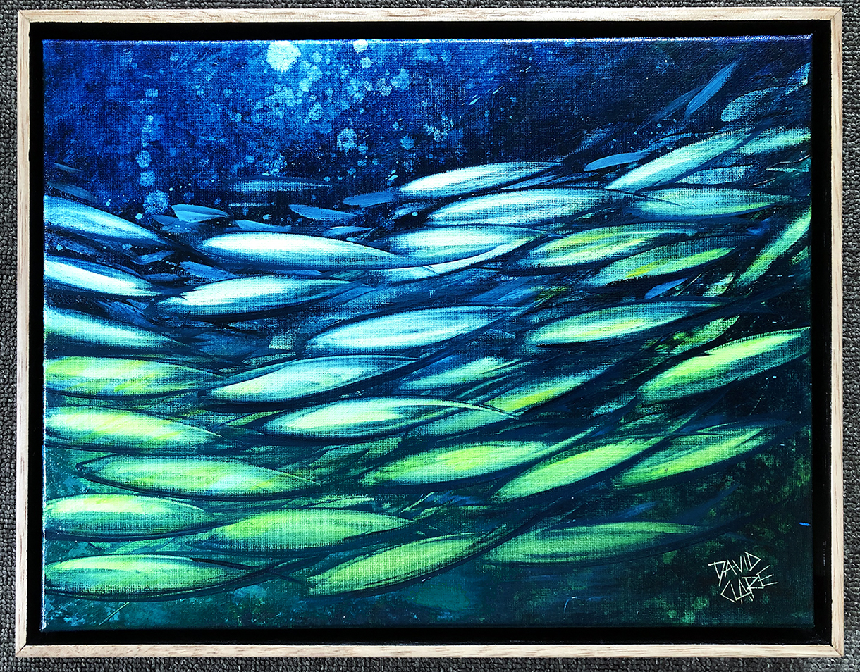 Fish School Mini 3 Framed Lr