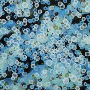 Low Res Bioluminescent Tideline Drift Ii 72dpi Bfe