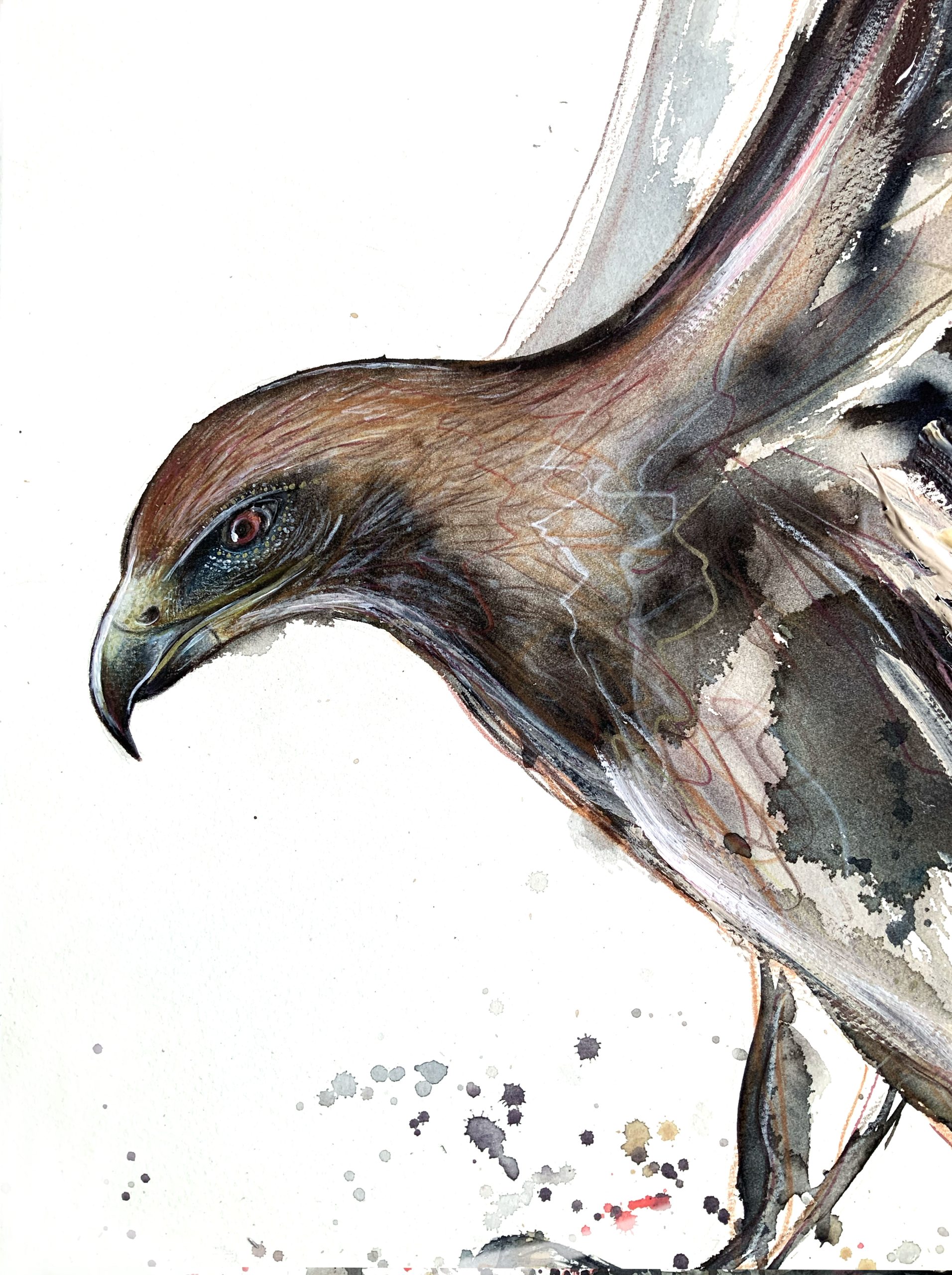 Sydney Artist Leni Kae Hawk Spirit Animal Spirit Closeup1