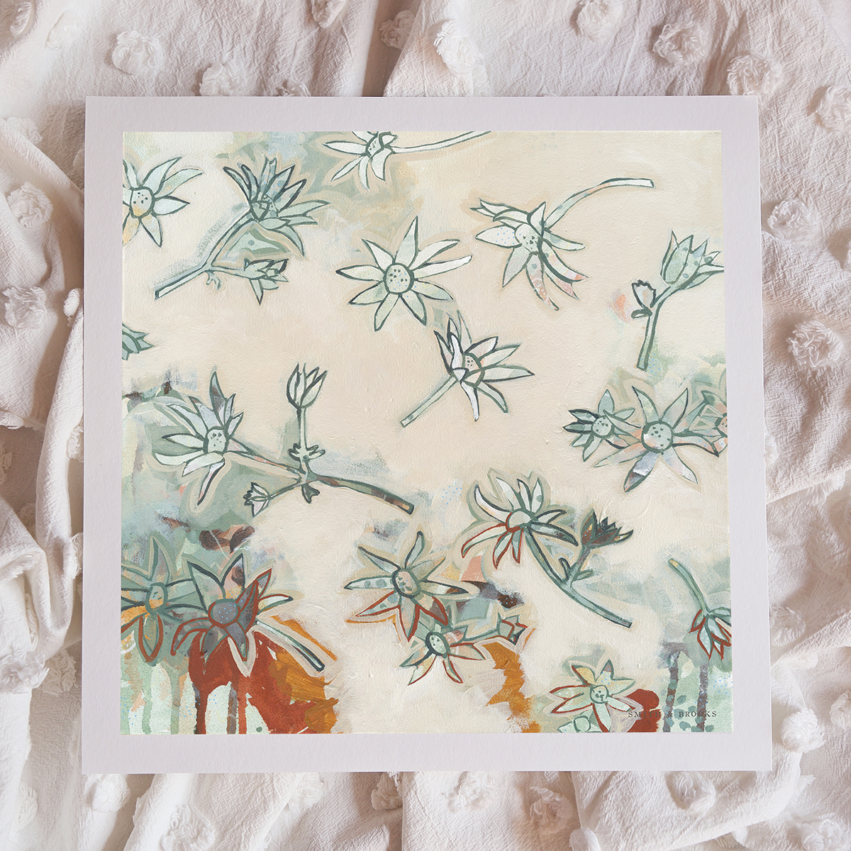 Lr 047 Flannel Flower Song Smith & Brooks Art Art For Interior Deisgners Melbourne Native Plants Ready To Hang Artwork