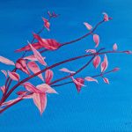 User 32334 Alison Smith 2023 11 30 T 00 31 07 536 Z Newlife.jpg