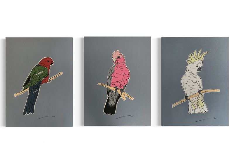 Aust Native Birds / Series of 3