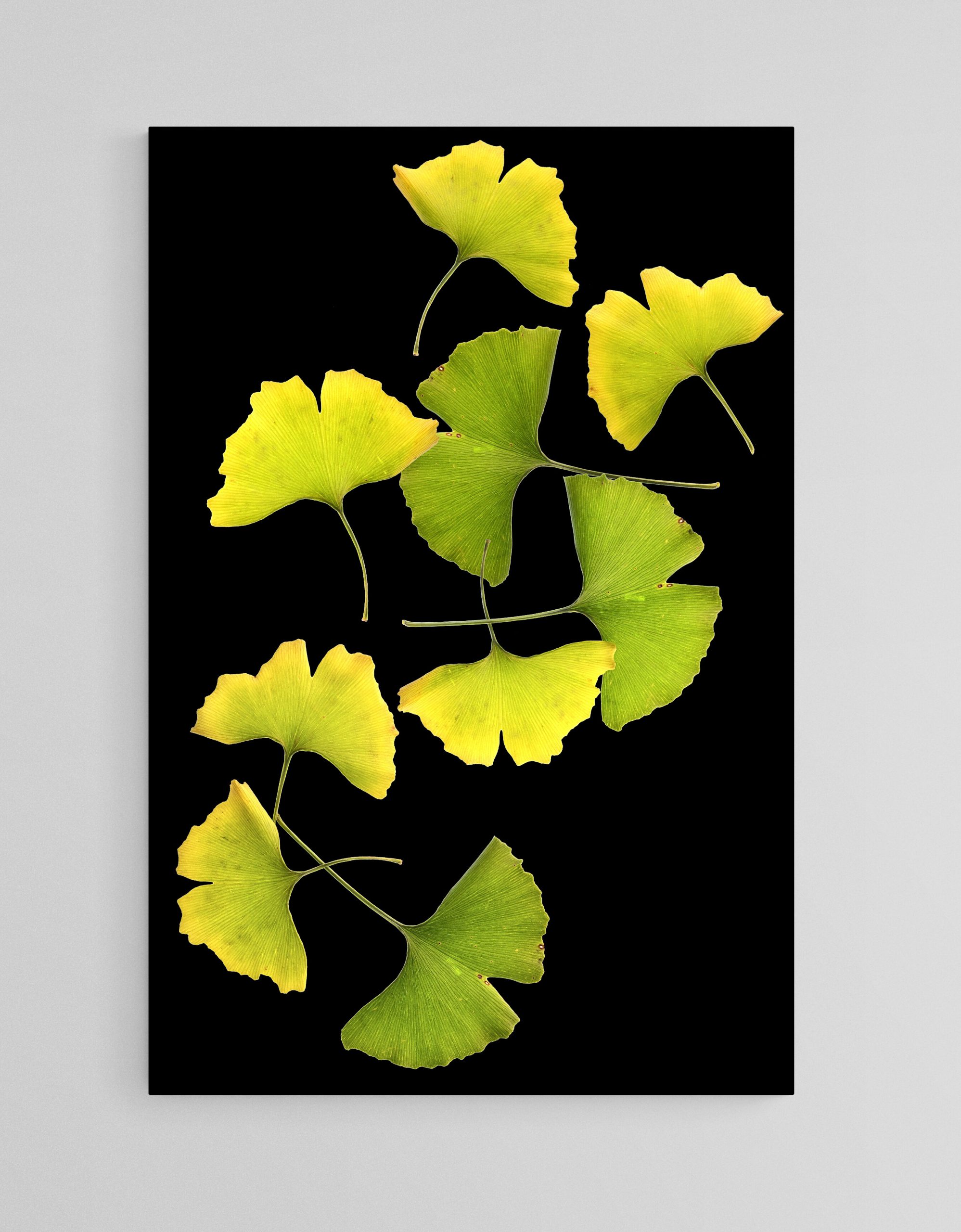 Empty Room 2023 12 02t124815.207