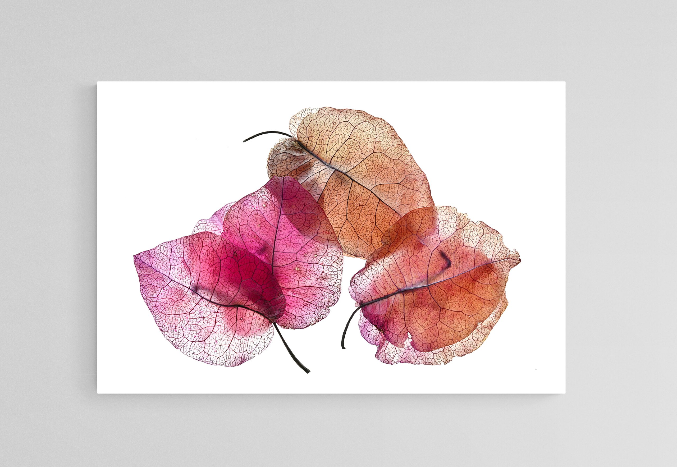 Empty Room 2023 12 02t125438.867