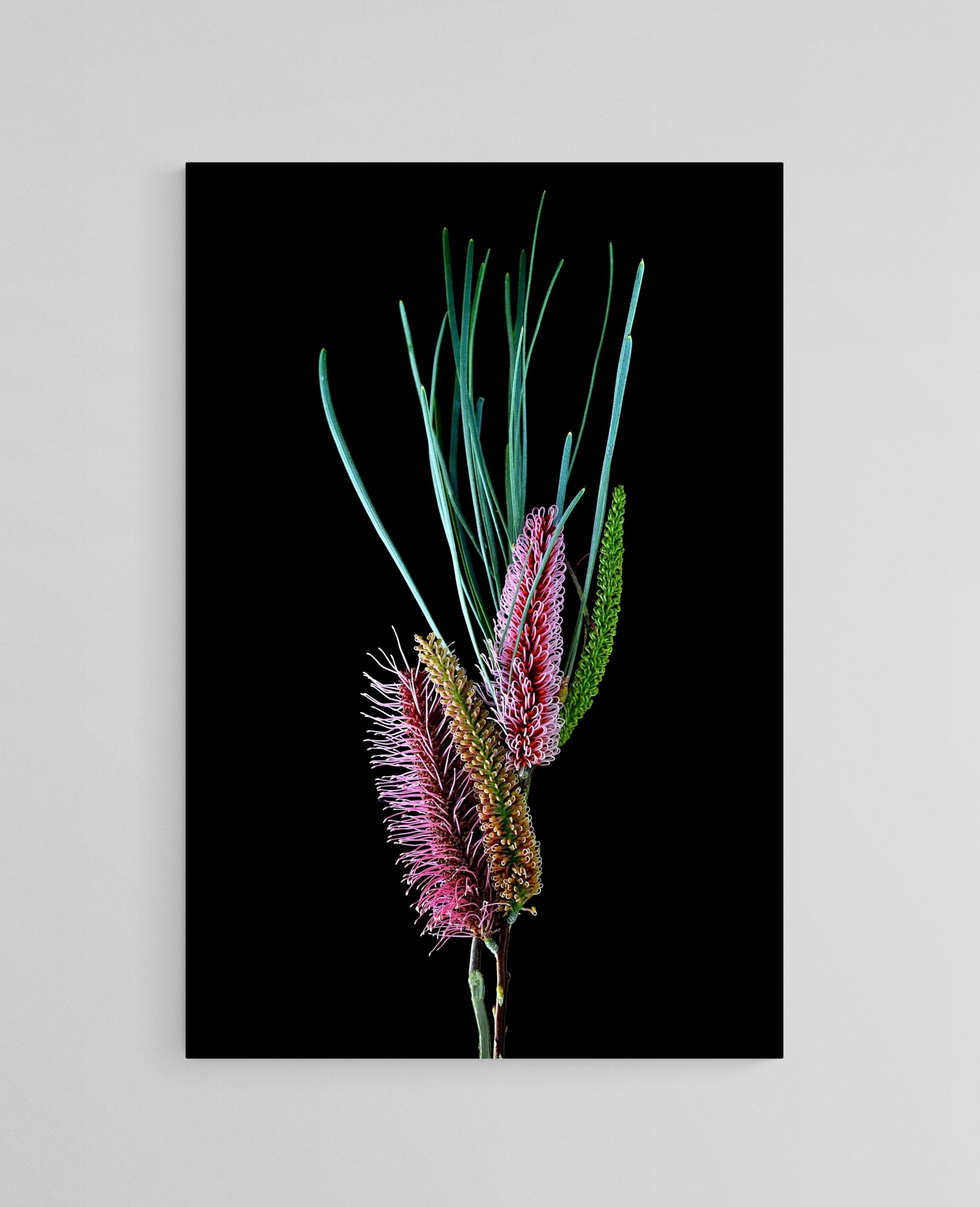 Empty Room 2023 12 02t133343.741