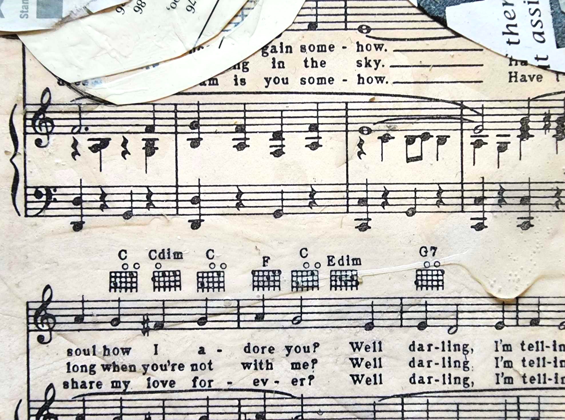 368016647 1297890690921230 4315644374824216694 N