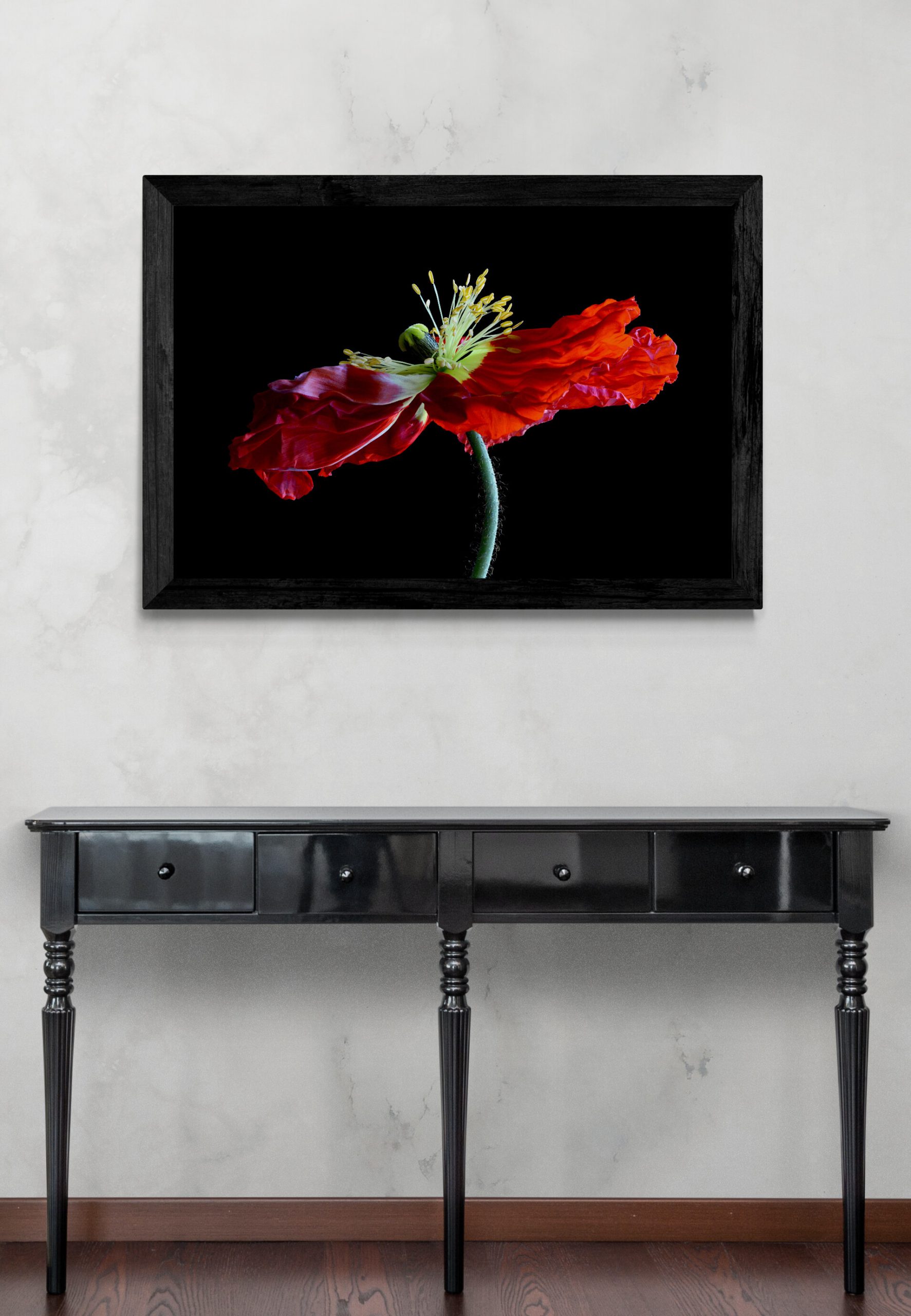 Vintage Cabinet Next To Kitchen (14)