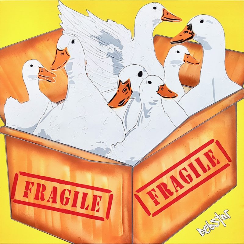 Box of Fluffy Ducks!