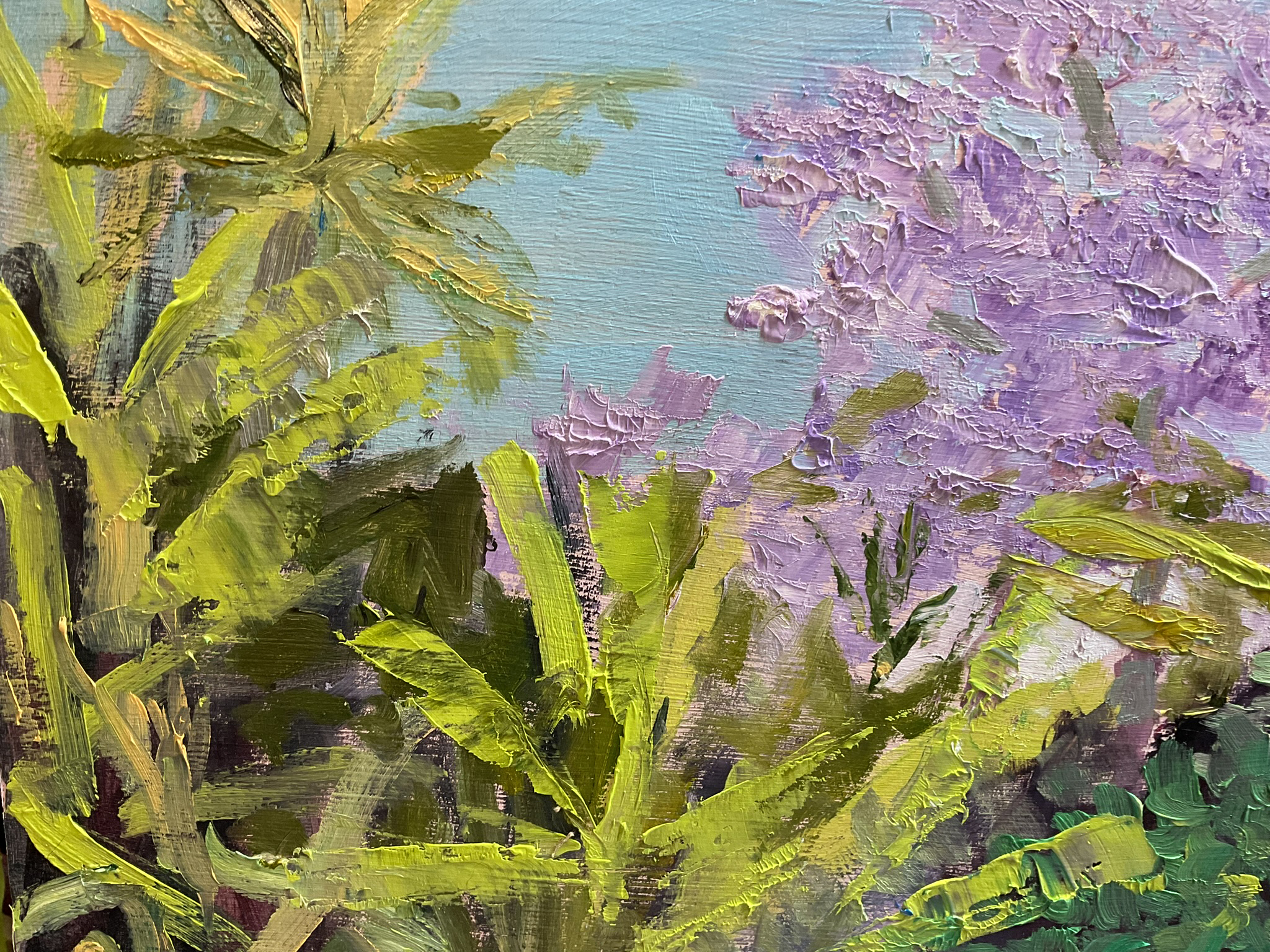 Jacaranda Backyard Detail 1