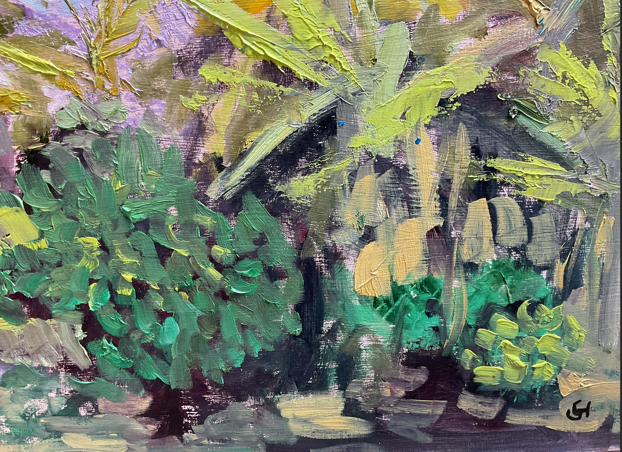 Jacaranda Backyard Signature