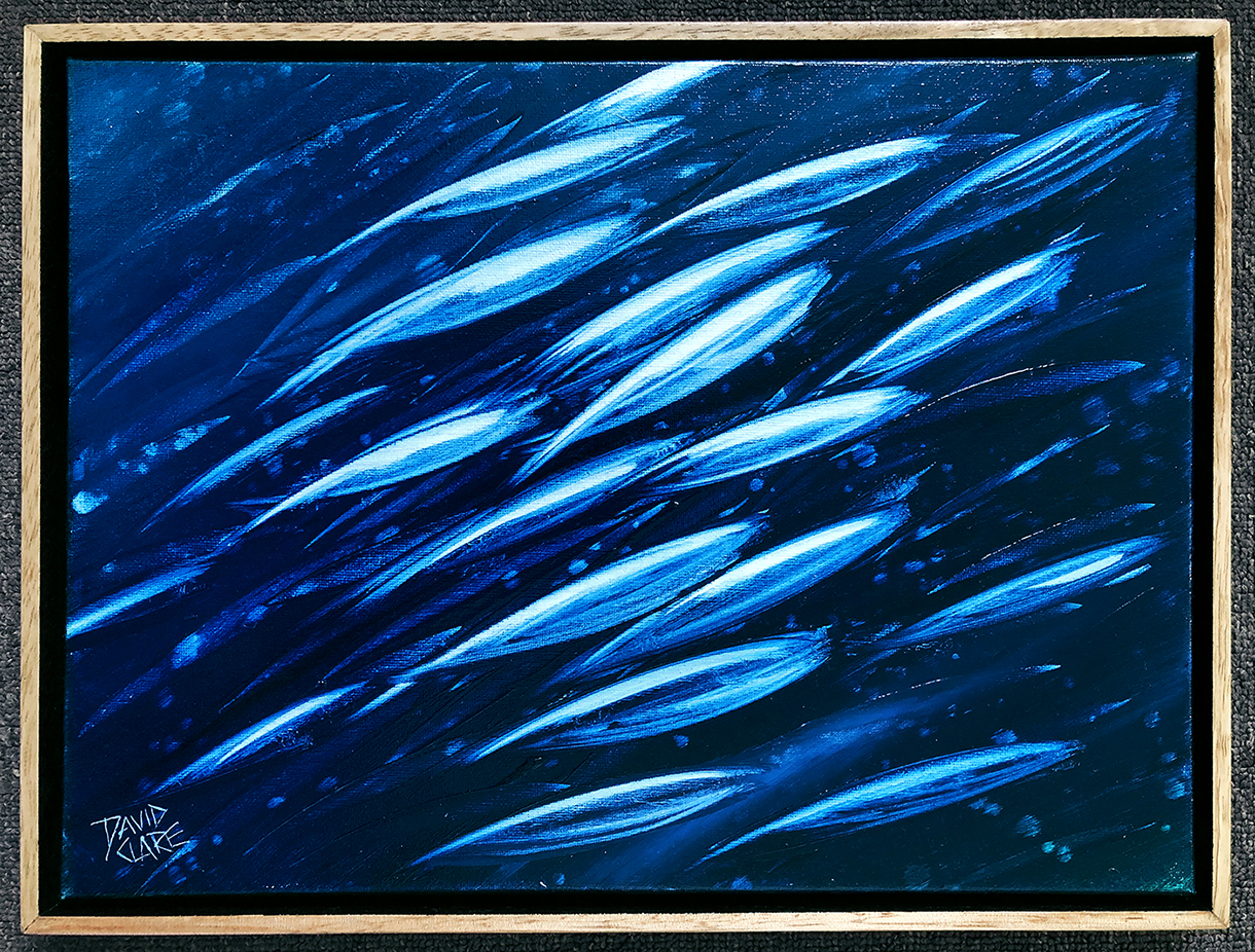 Fish School Mini 4 Framed Lr