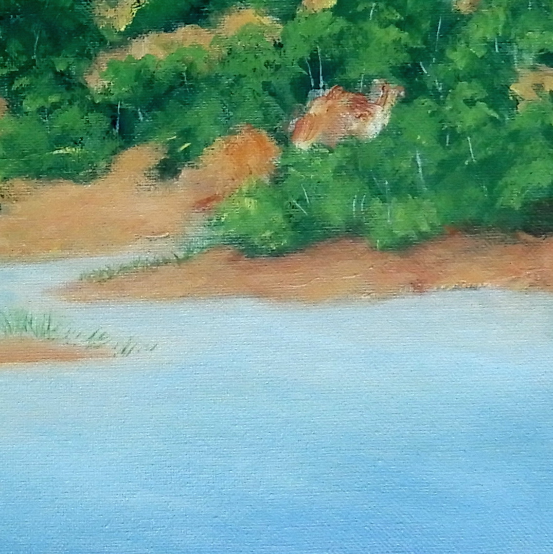 Doodie Herman Lake St Clair Landscape 002