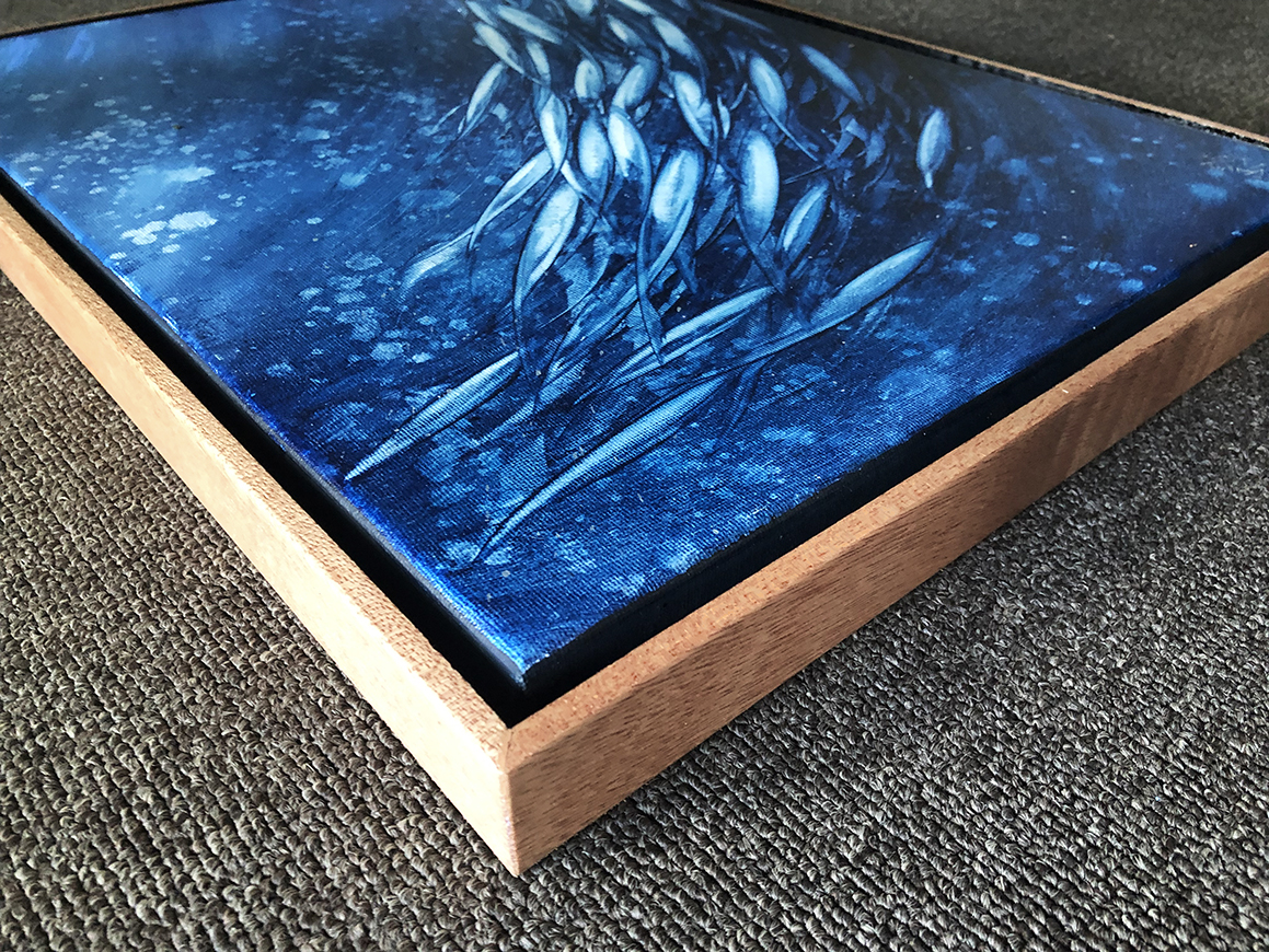 Fish School Mini 6 Corner Lr