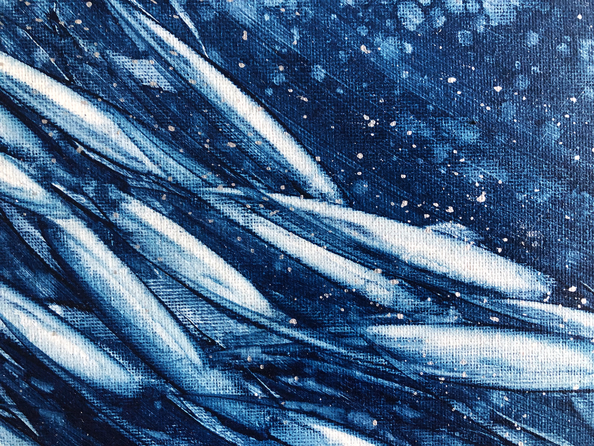 Fish School Mini 6 Close Lr