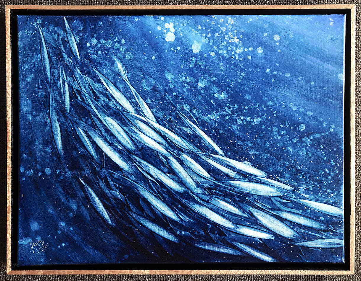 Fish School Mini 6 Framed Lr