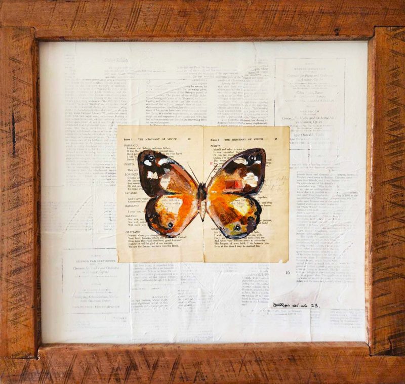 Butterfly – Framed