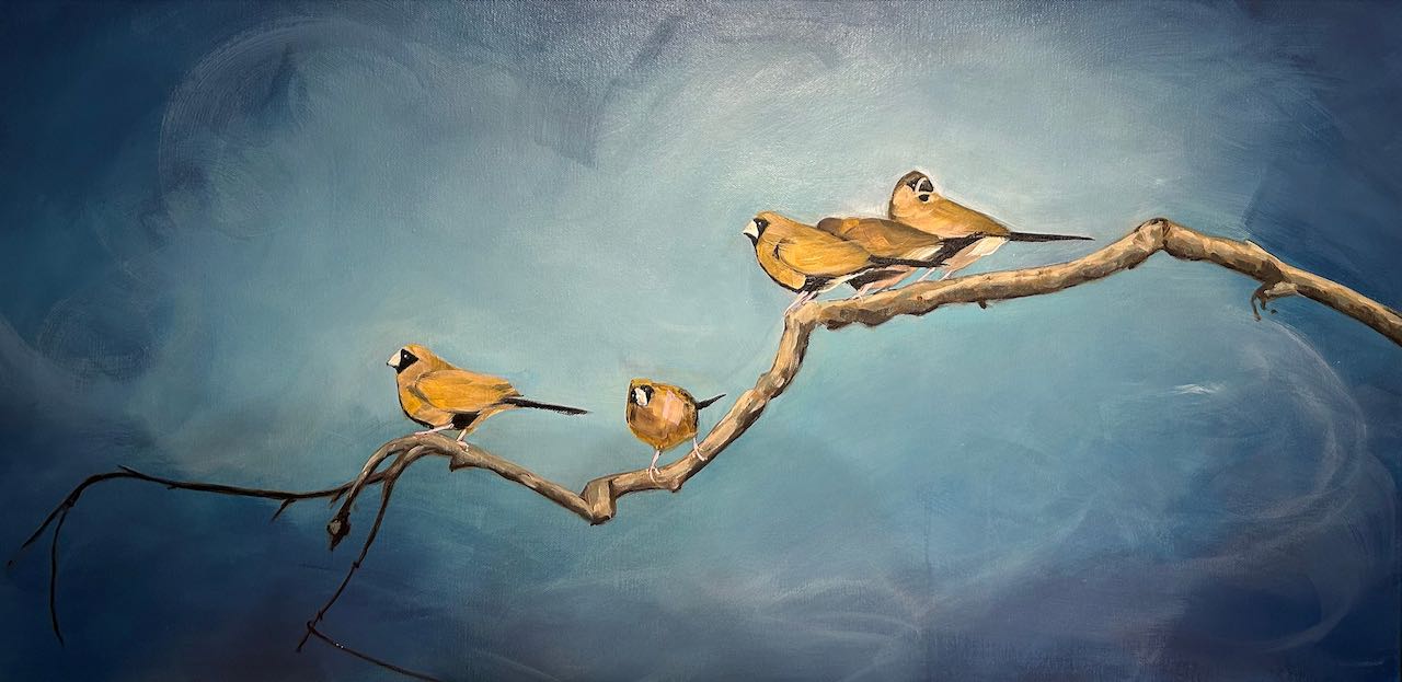 Zebra.finches.300dpi