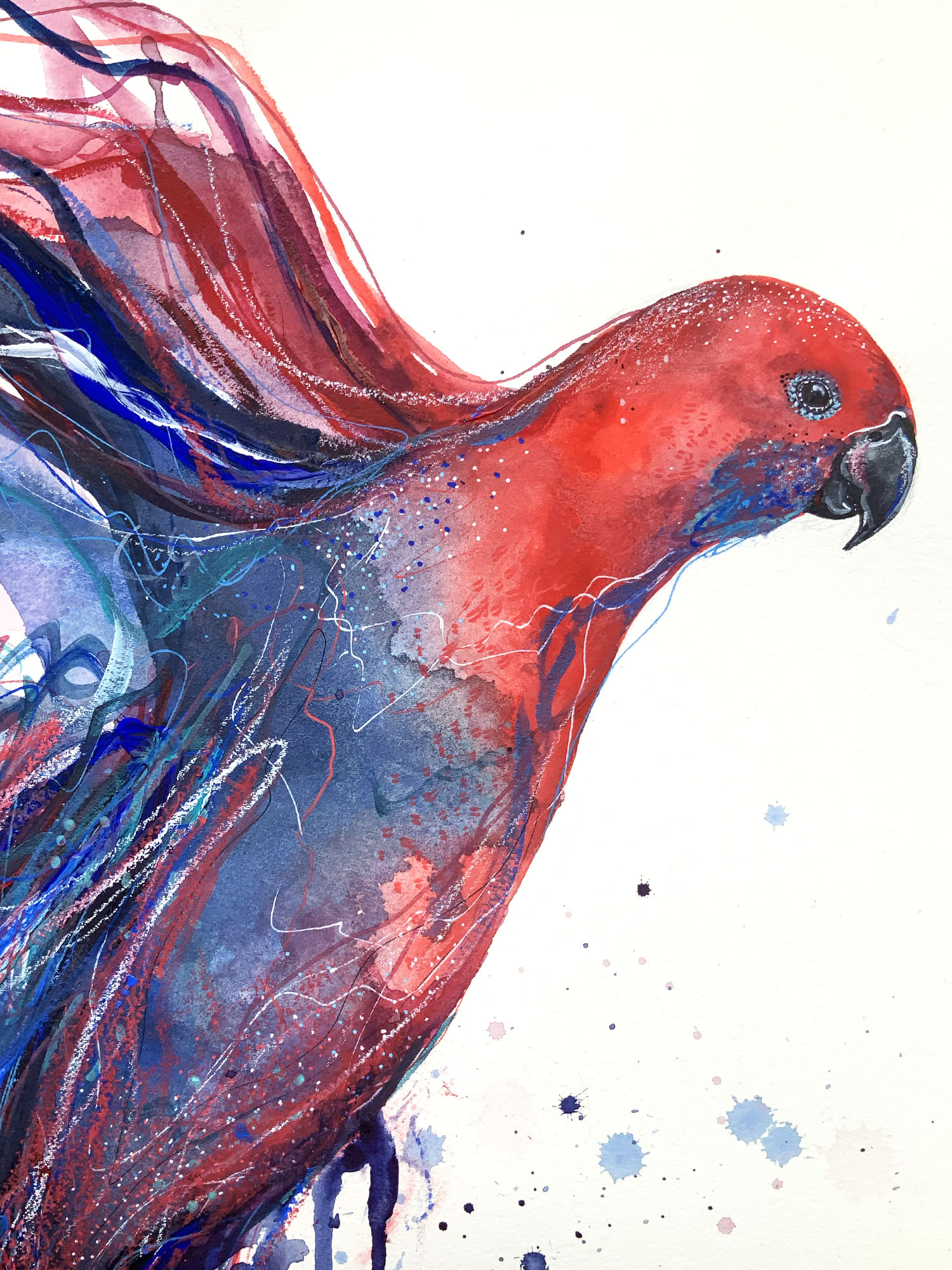 Leni Kae A2 Rosella Spirit Bird Art On Paper Closeup2