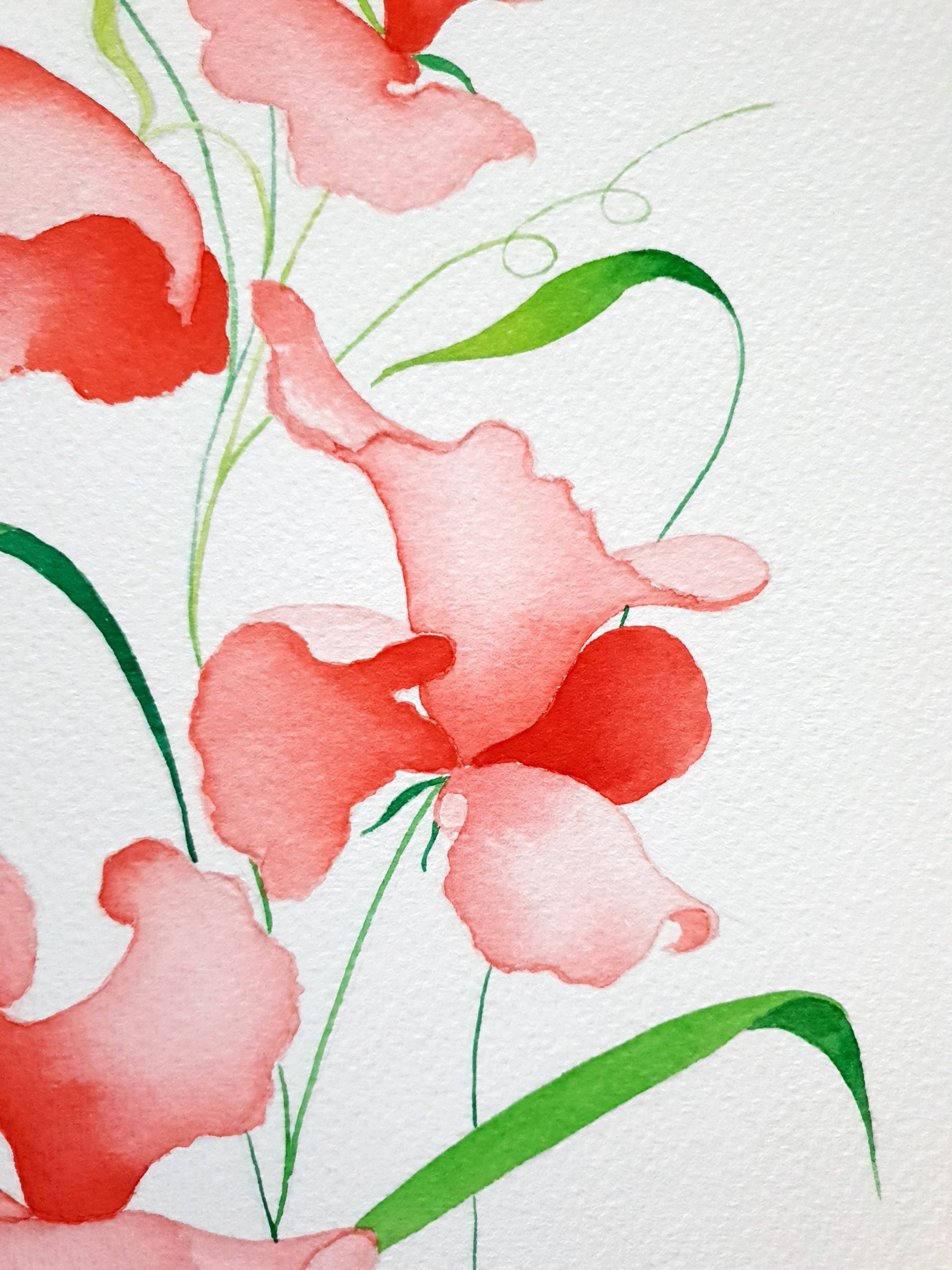 Sweet Pea Fairies 1 Lucinda Leveille Art 3