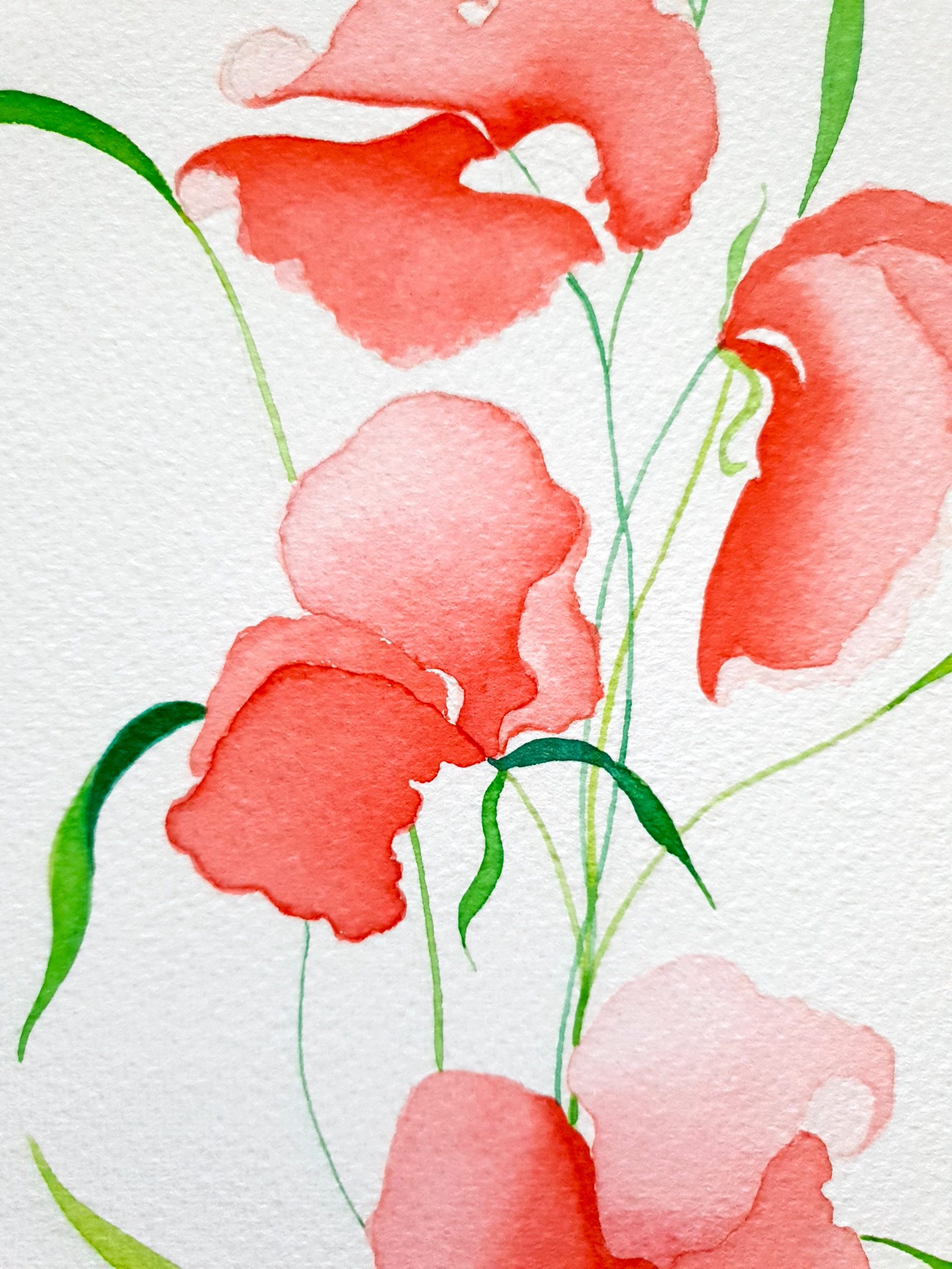 Sweet Pea Fairies 2 Lucinda Leveille Art 2