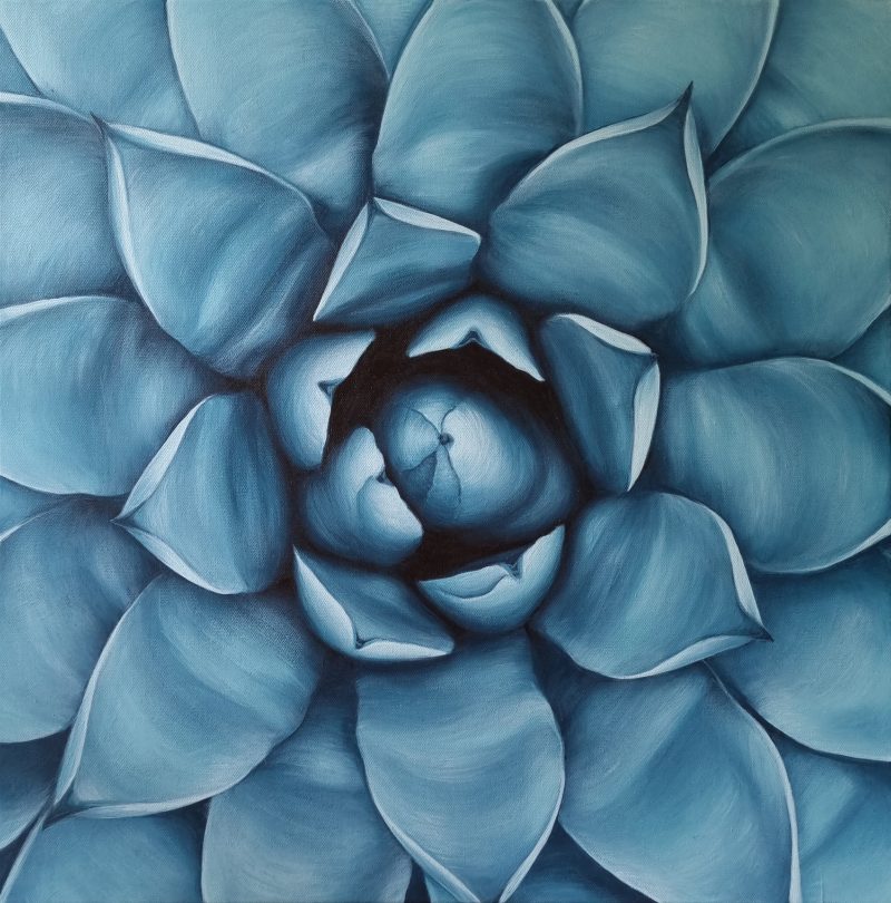 Blue Desert Flower
