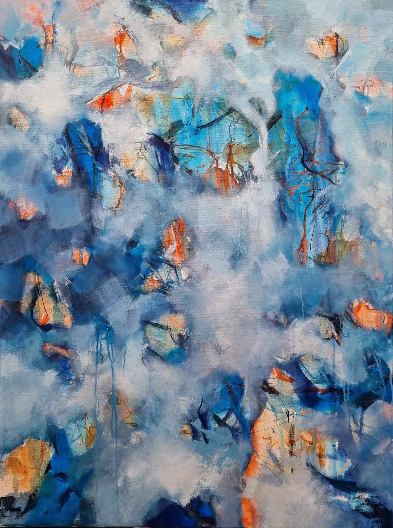 Fa35cc2a Ac79 429a 94ef Fb0f715a802b