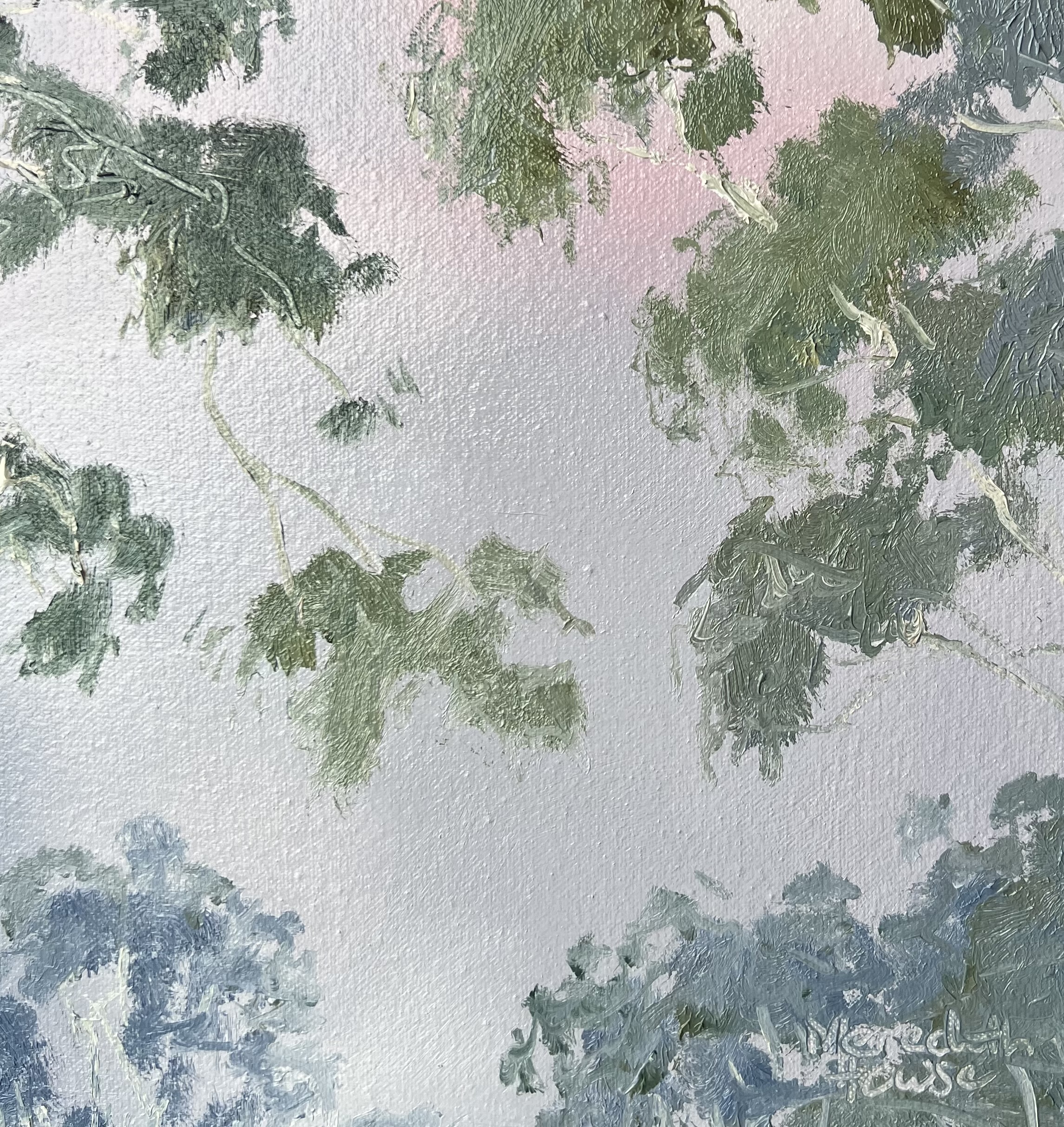 Srenity Befor The Storm Close Up 1