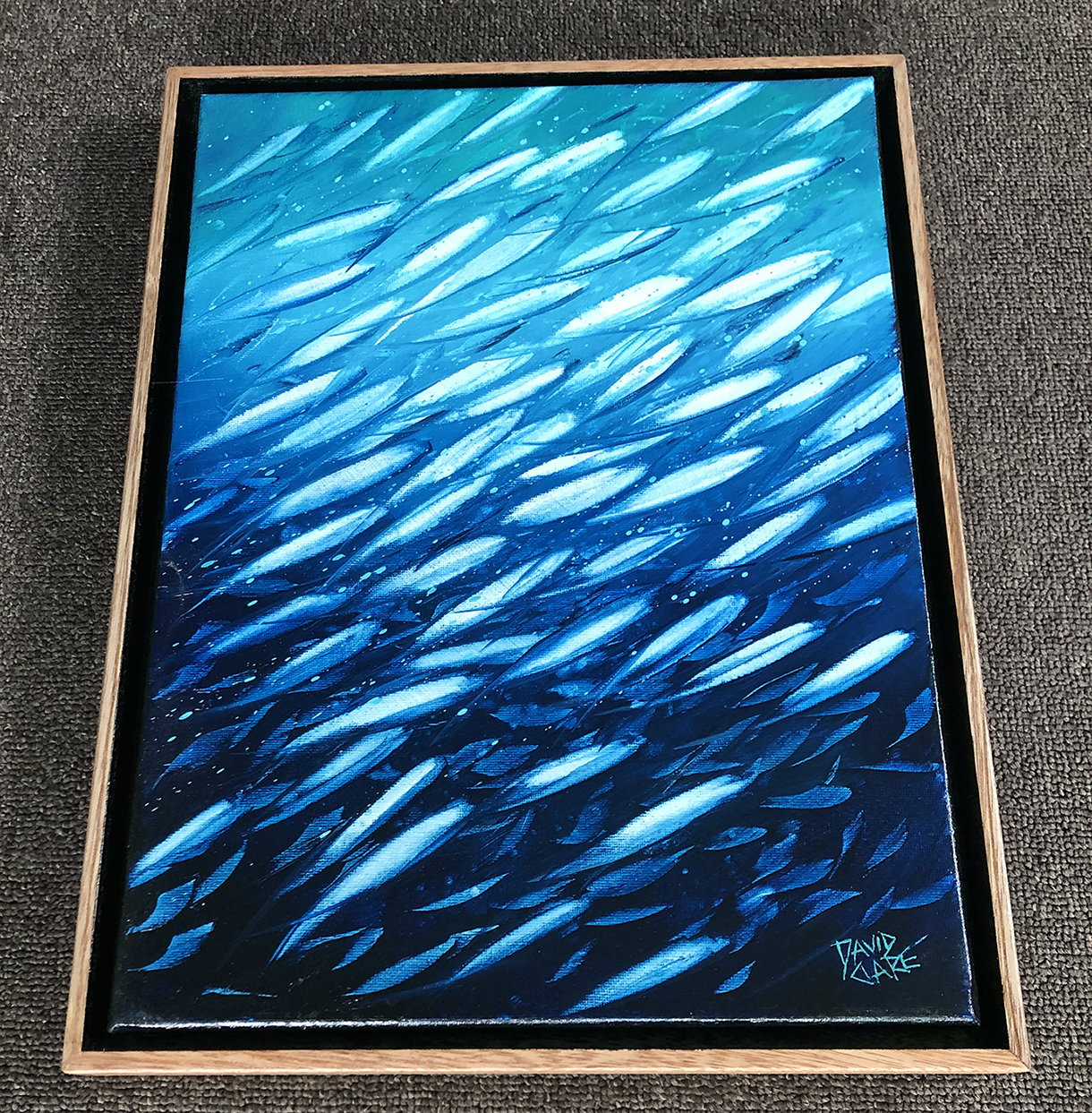 Fish School Mini 7 Bottom Lr