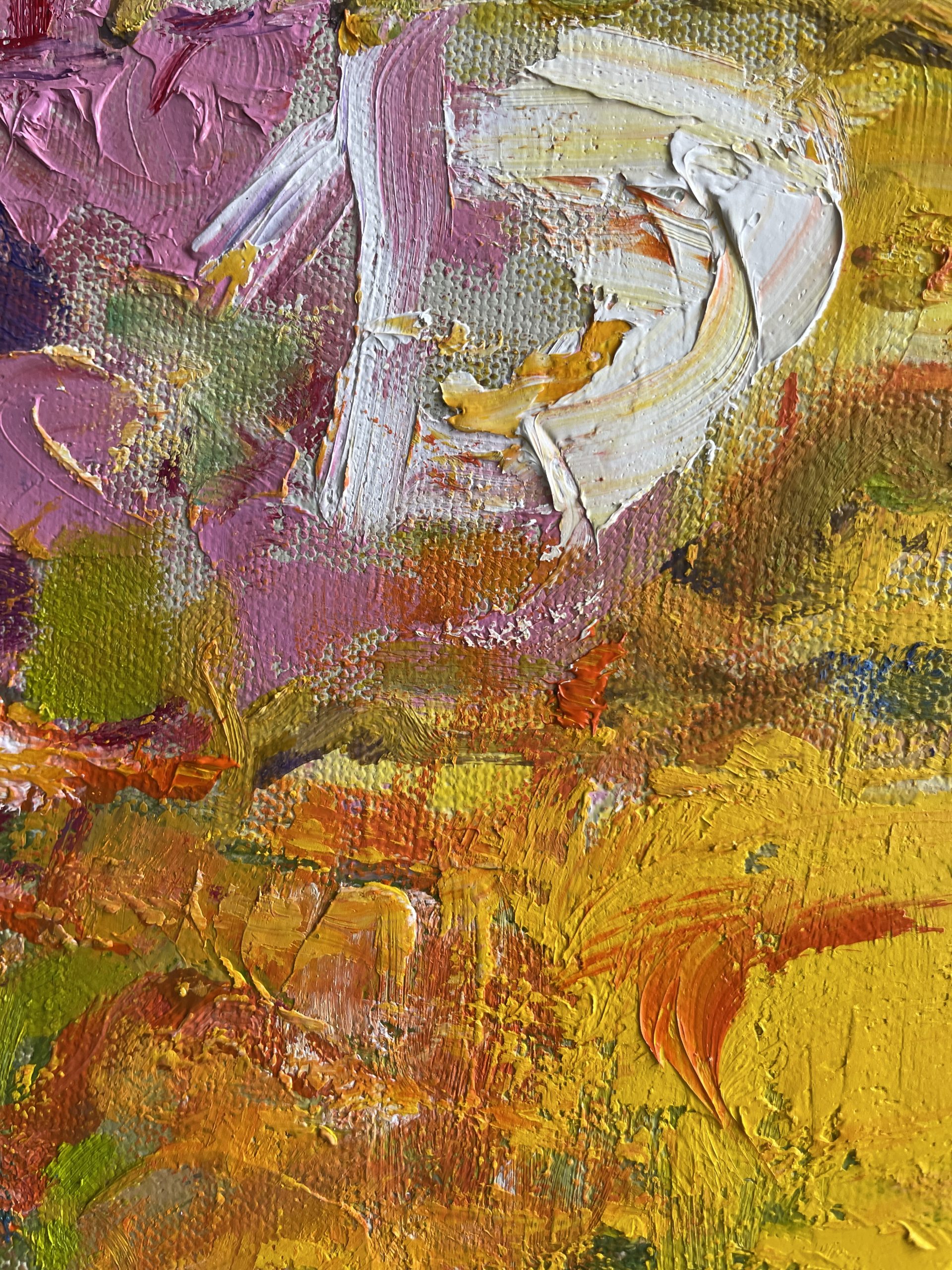 Sue's Hydrangeas Closeup 3