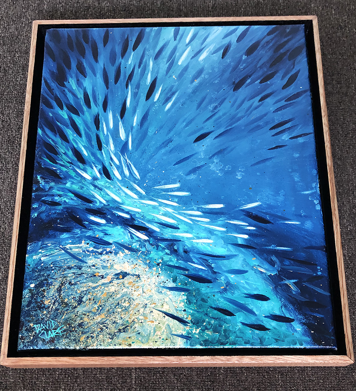 Fish School Mini 8 Bottom Lr