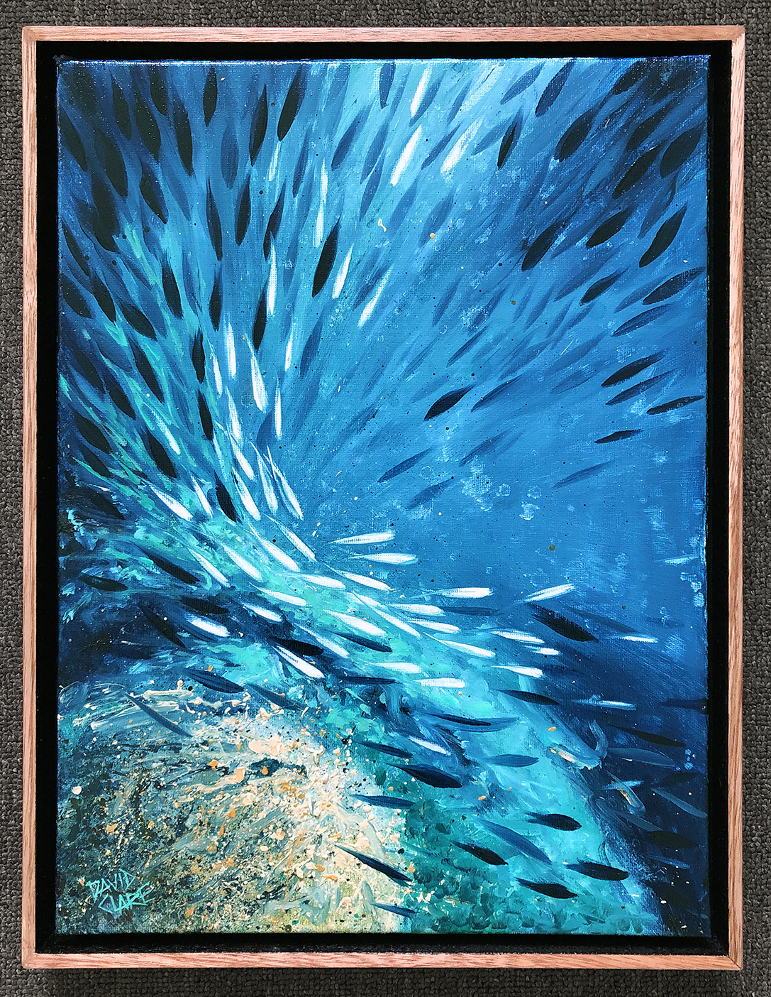 Fish School Mini 8 Frame Lr