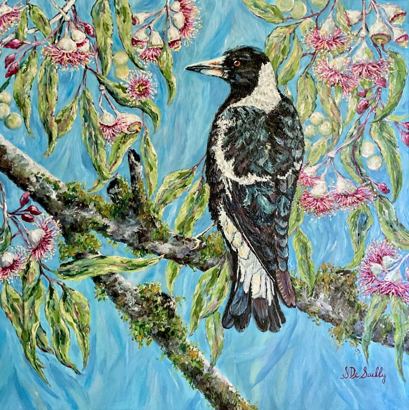 Magpie In The Flowering Gums