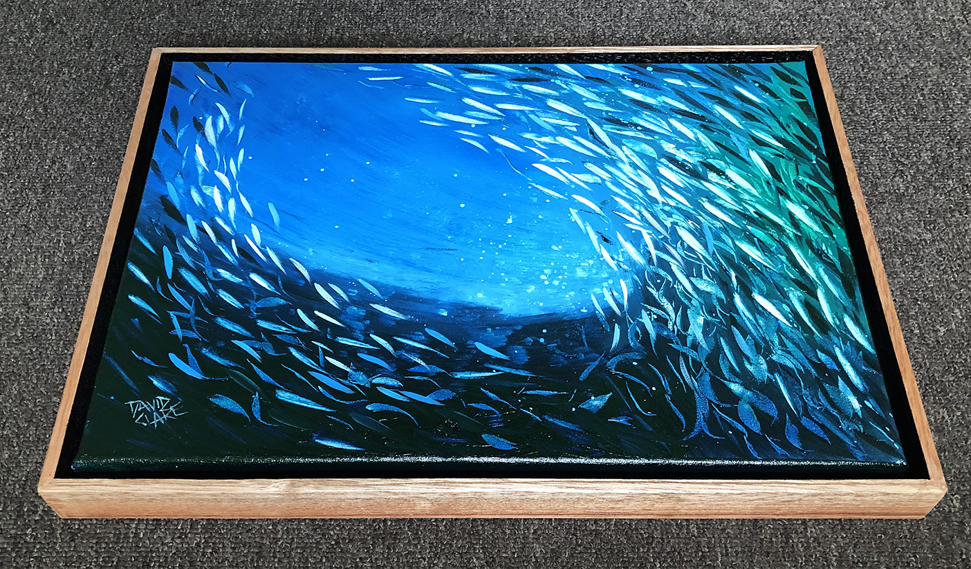 Fish School Mini 10 Bottom Lr