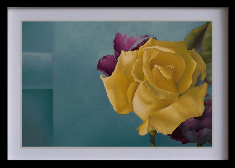 Yellow Spring Rose – Ltd Ed print Giclée