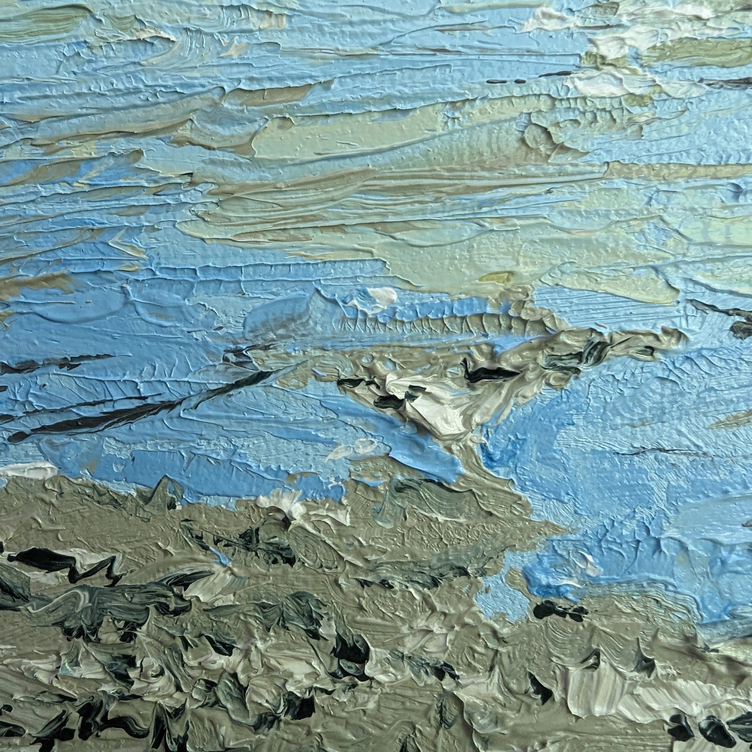 Sam Askin Hastings Point Seagulls Beach