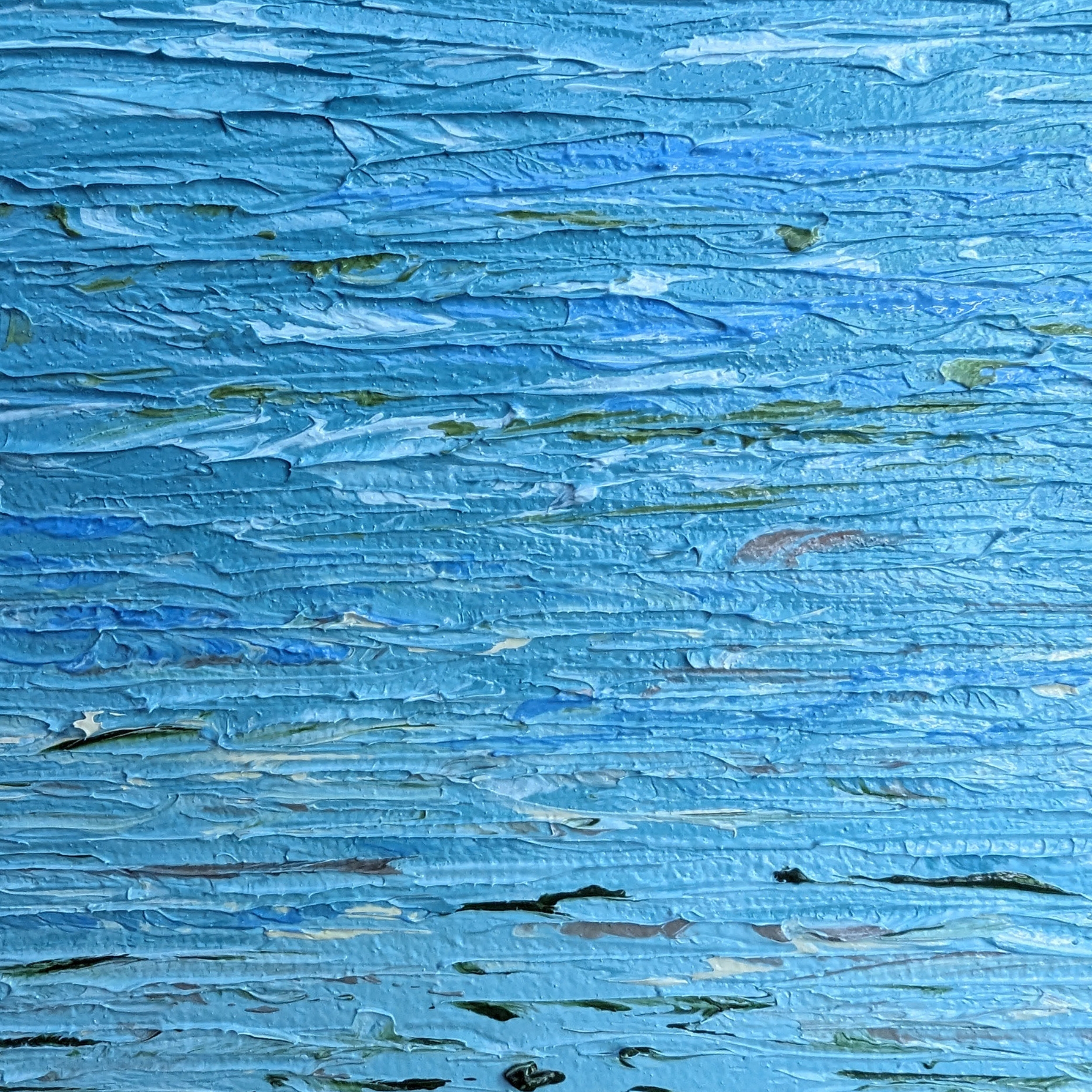 Sam Askin Hastings Point Seagulls Ocean