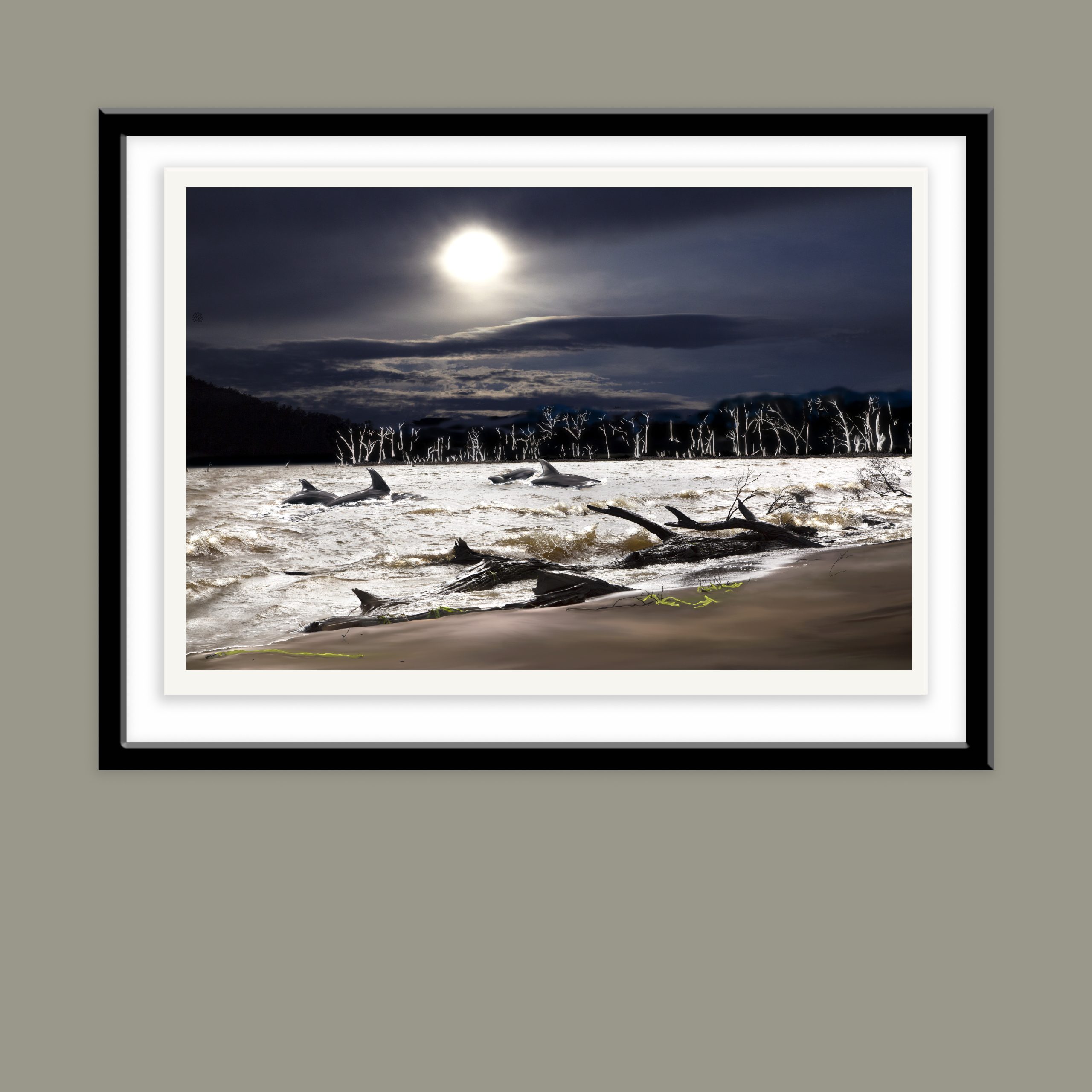 Dolphinsands Basicframe