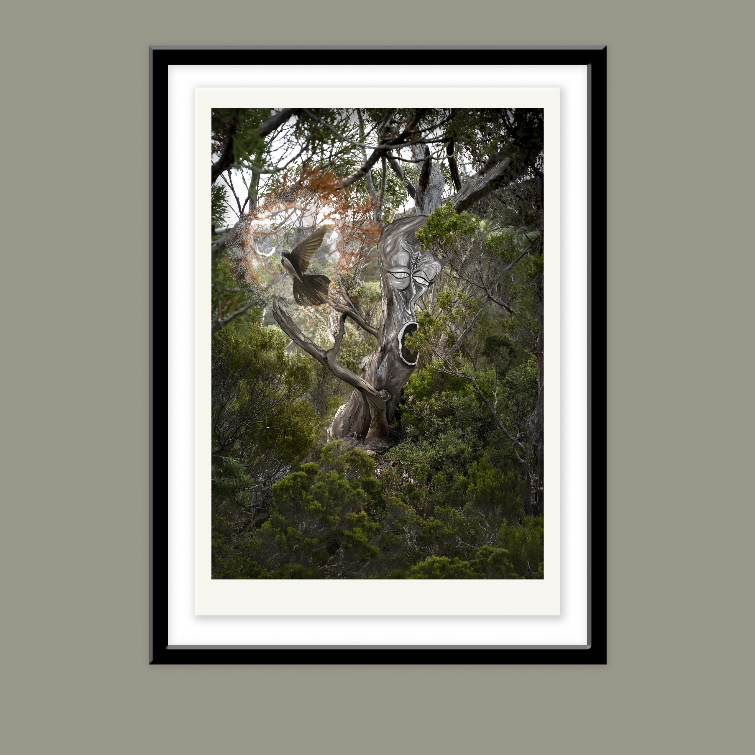 Treewizard Basicframe