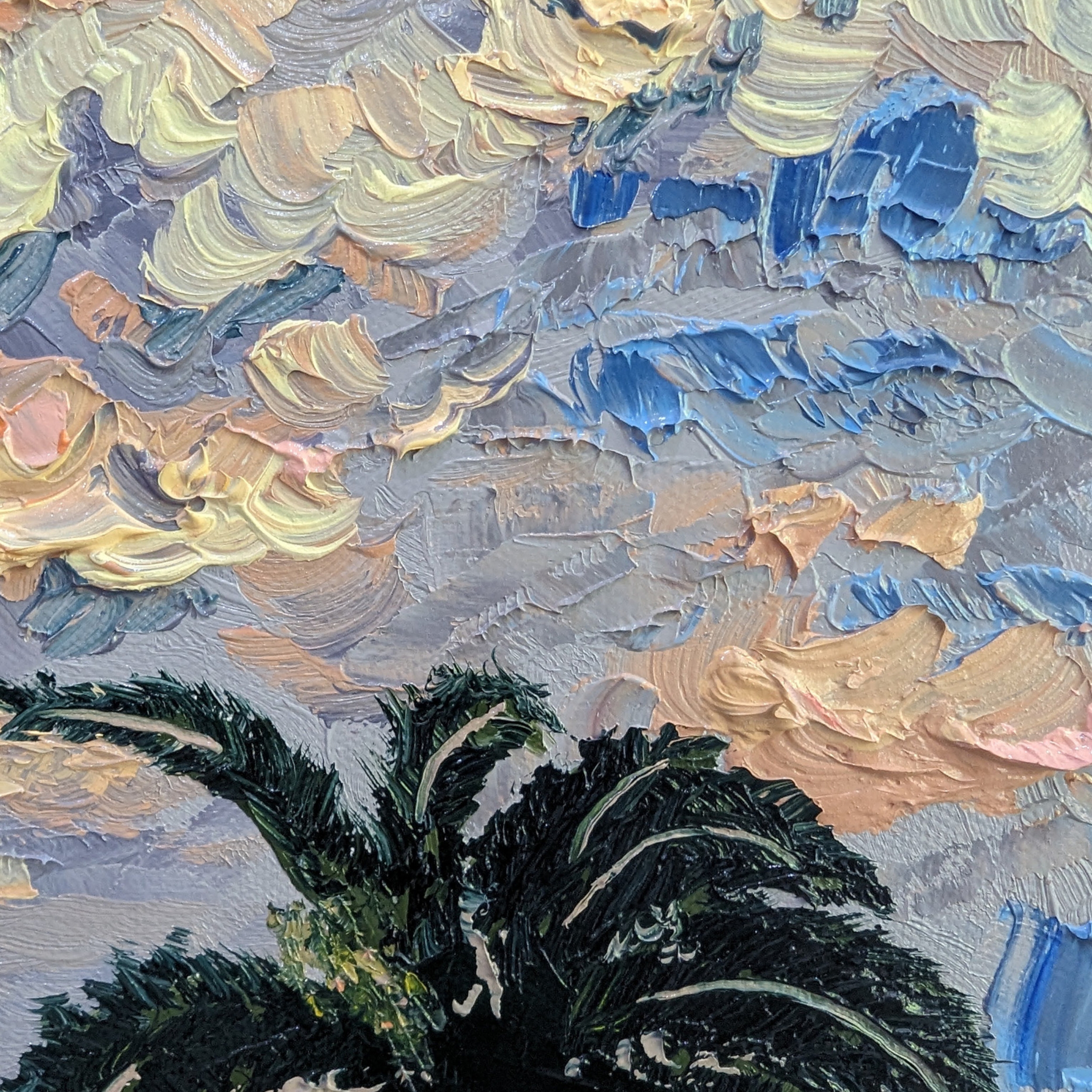 Sam Askin Sunset After The Storm Palm Tree Silhouette