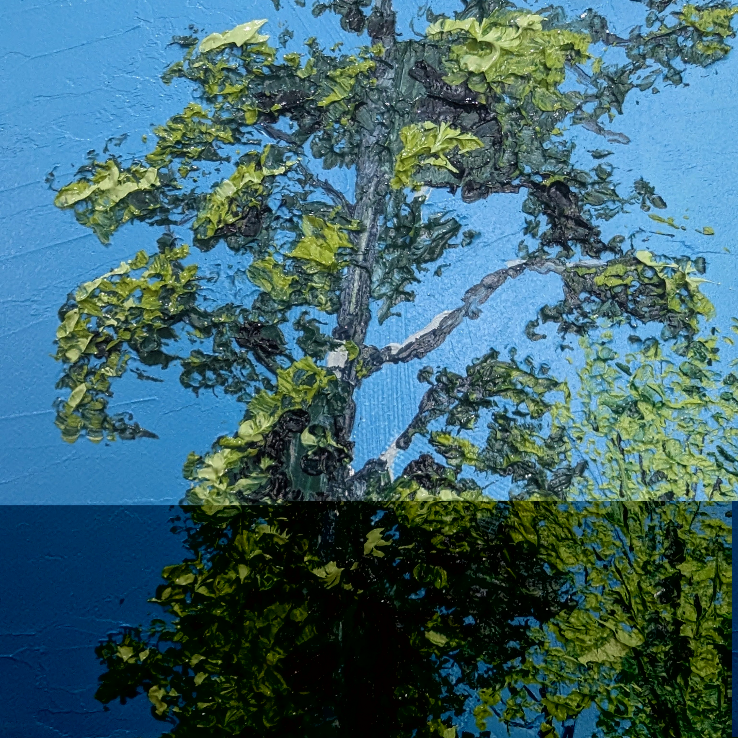 Sam Askin The Wrong Road Home Eucalypt