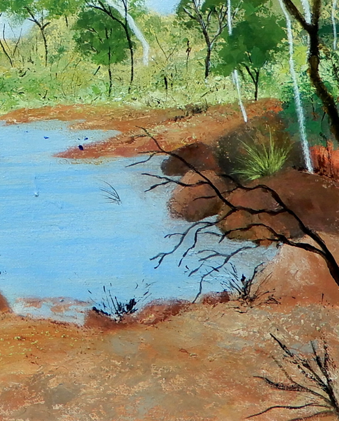 Doodie Herman Red Centre Waterhole Landscape 004
