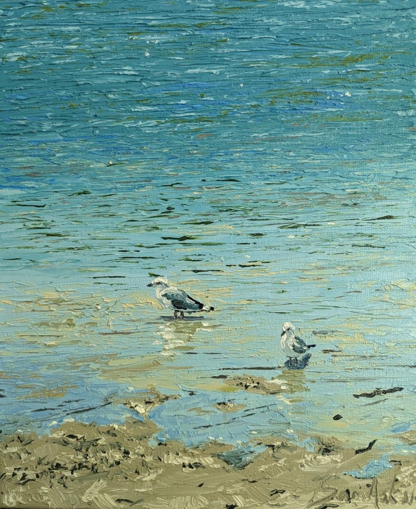 Sam Askin Hastings Point Seagulls Full 1024x1024