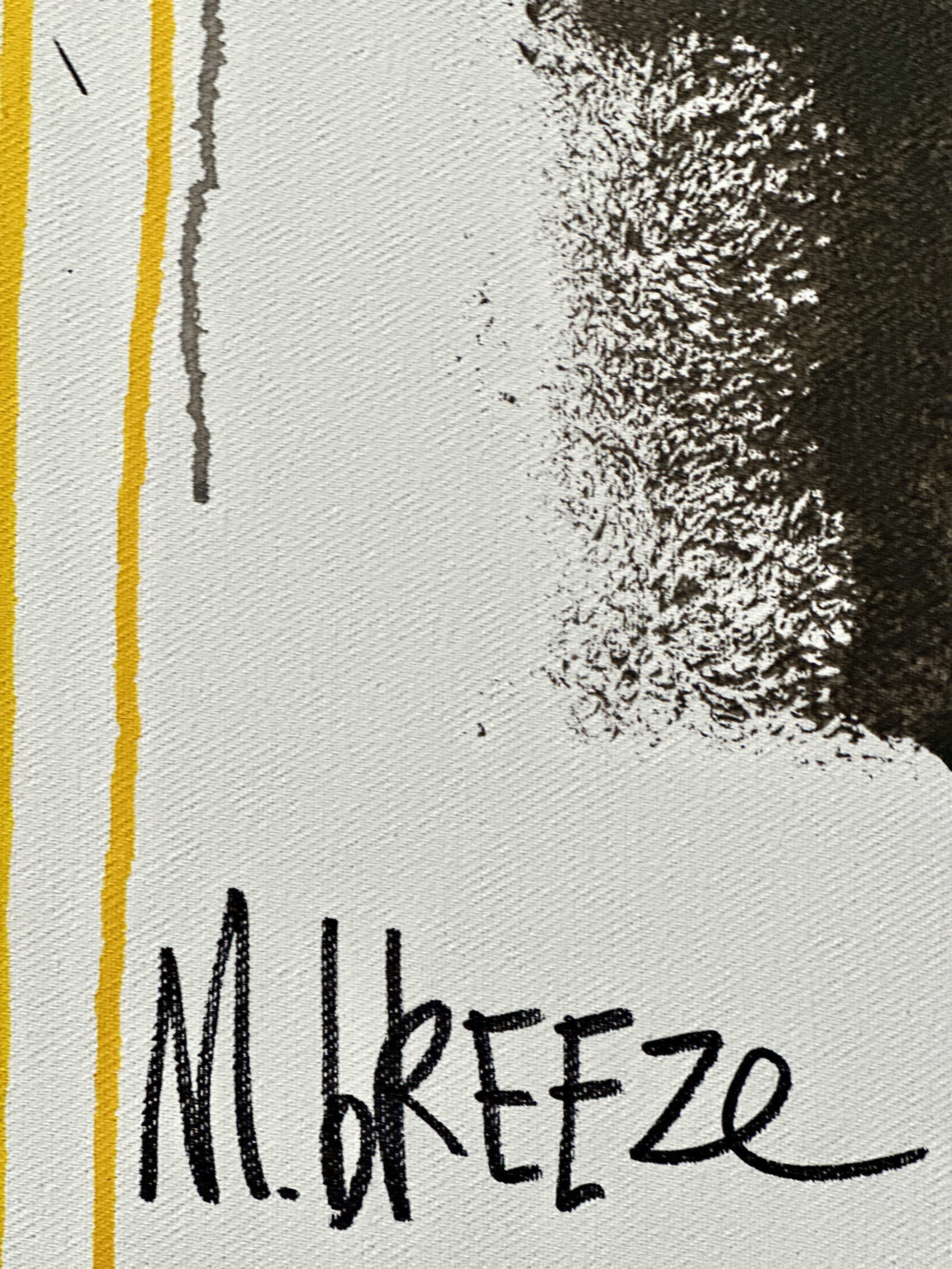 Martin Breeze Roadtrip Signed