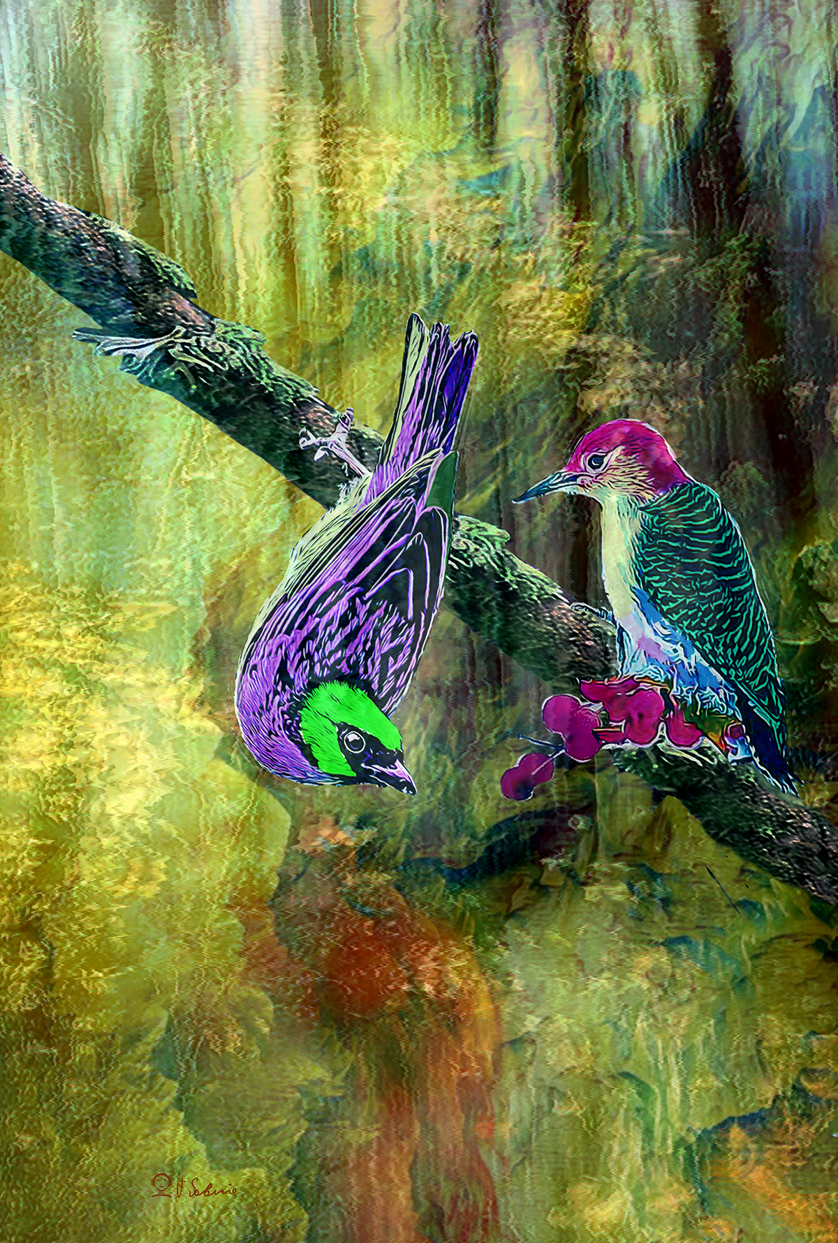 Street Urban Art Collection Number 139 Web