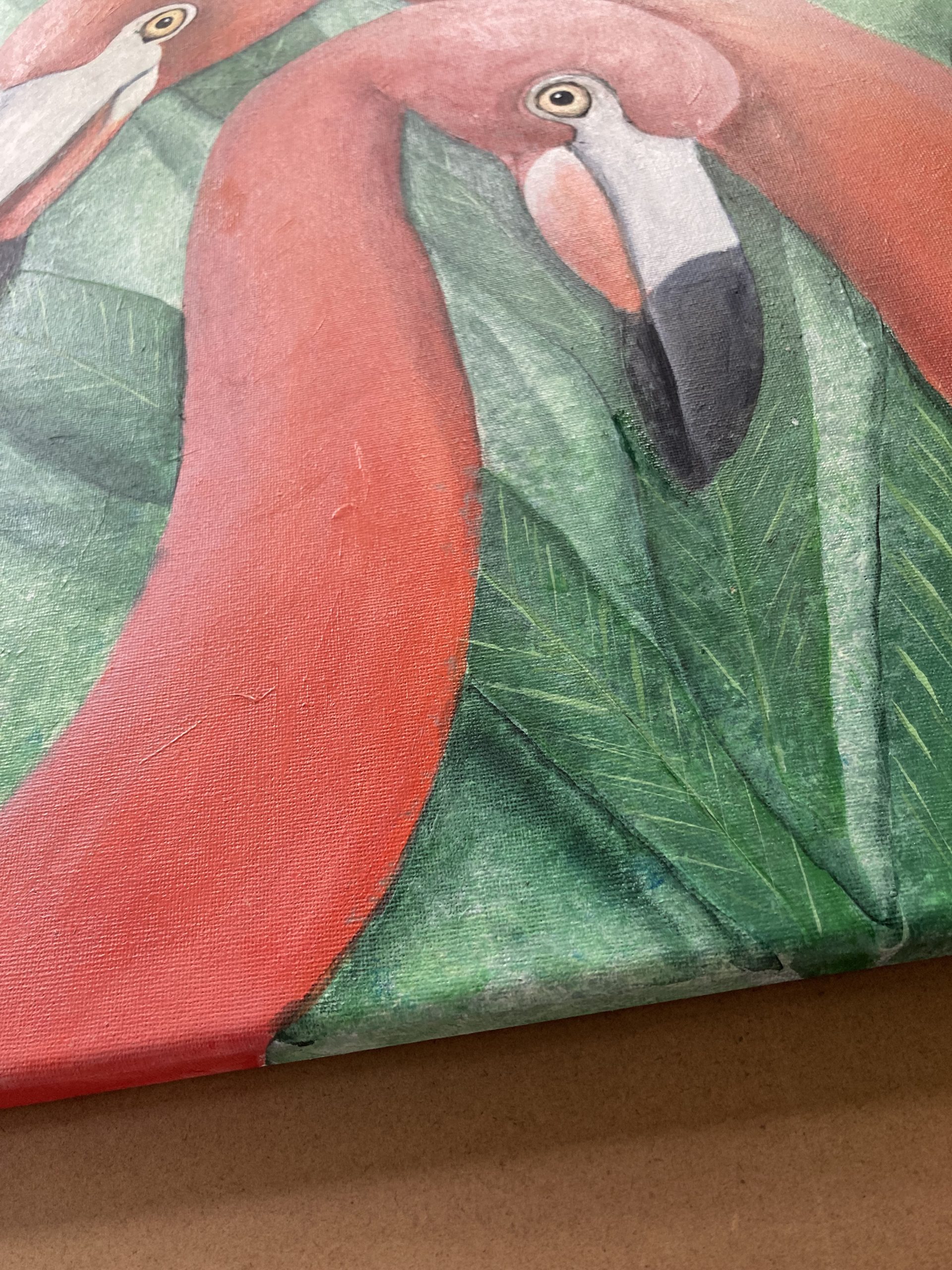 310. American Flamingo Edge