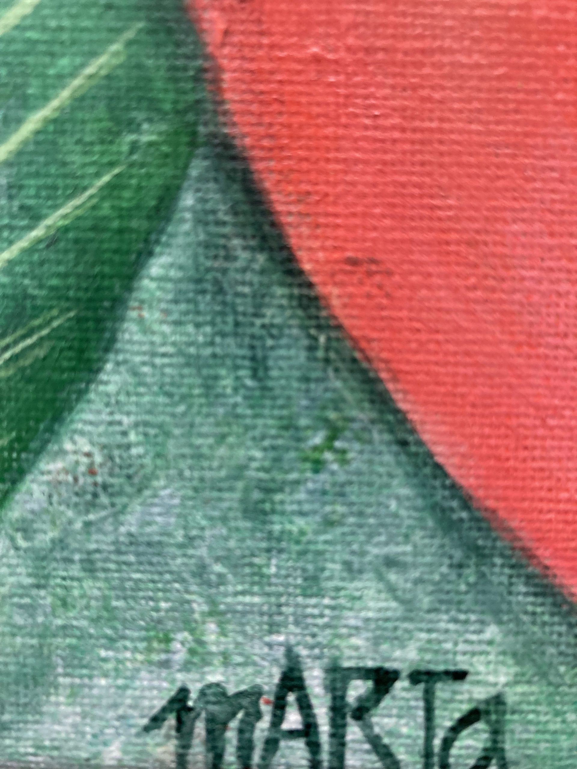 310. American Flamingo Signature