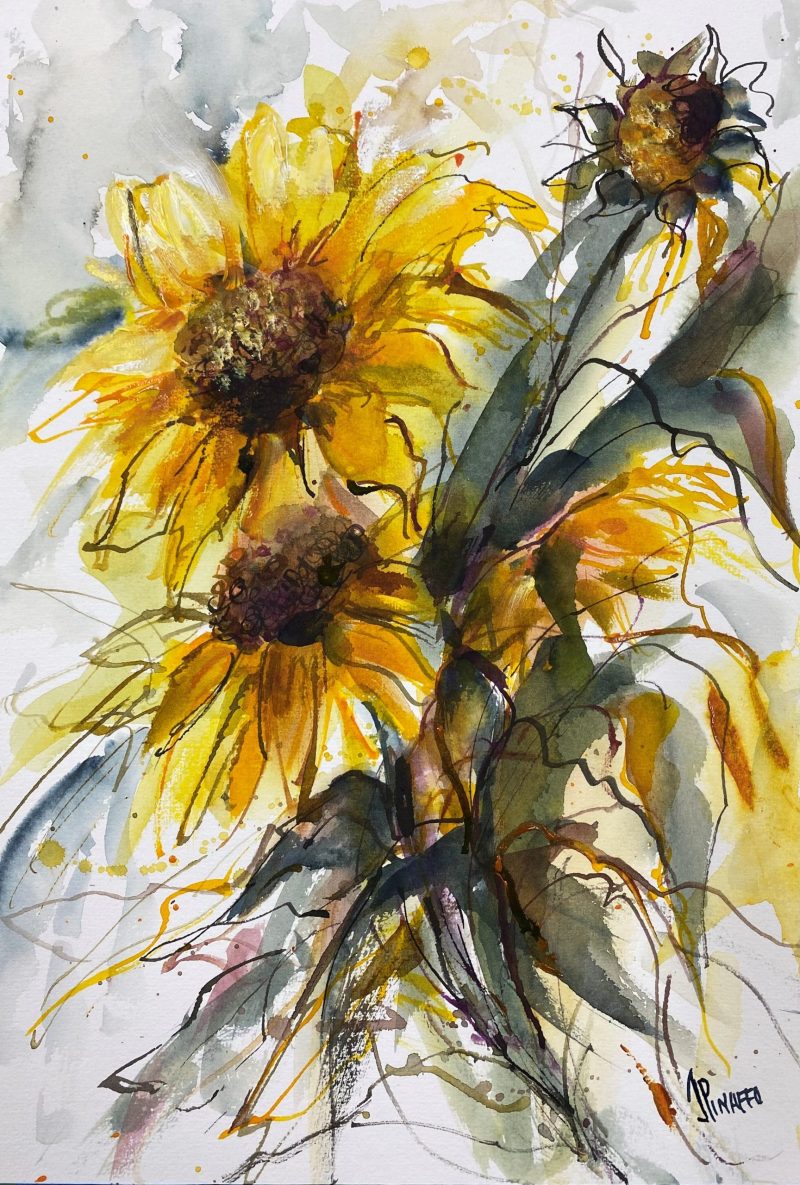 Sunflowers to admire
